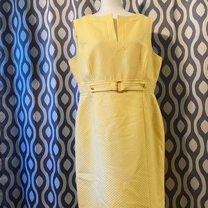 Womens Chelsea Rose Dress. Canary Yellow. Size 16 NWOT